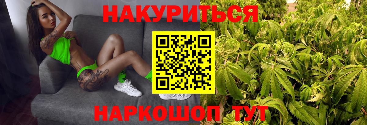 Марихуана марихуана  Бошки марихуана ГИДРОПОН  Каннабис Bruce Banner  Бошки марихуана гибрид  Вход с VPN  Курск 